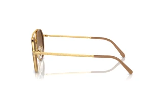 Seitenansicht Ray-Ban RB3765 (001/51)