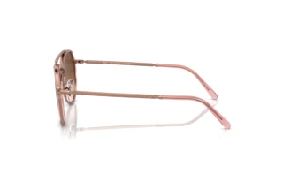 Seitenansicht Ray-Ban RB3765 (9069A5)