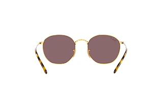 Rückansicht Ray-Ban ROB (RB3772 - 001/AF)