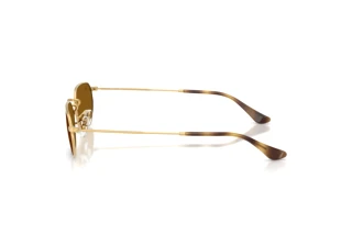 Seitenansicht Ray-Ban RB3947 (001/33)