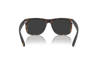 Rückansicht Ray-Ban JUSTIN (RB4165 - 865/87)