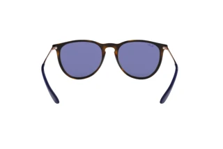 Rückansicht Ray-Ban ERIKA (RB4171 - 639276)