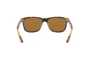 Rückansicht Ray-Ban RB4181 (710/83)