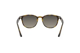 Rückansicht Ray-Ban RB4259 (710/11)