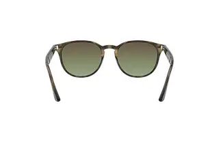 Rückansicht Ray-Ban RB4259 (731/E8)