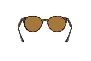 Rückansicht Ray-Ban RB4305 (710/83)