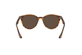 Rückansicht Ray-Ban RB4305 (820/73)