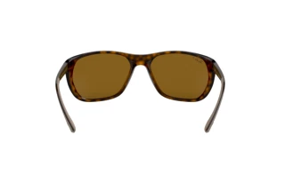 Rückansicht Ray-Ban RB4307 (710/83)