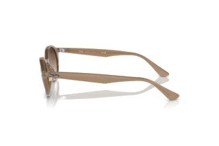 Seitenansicht Ray-Ban RB4315 (616613)