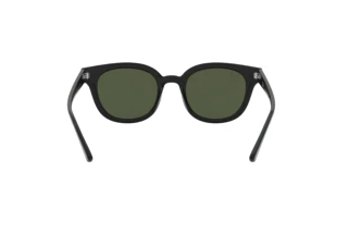 Rückansicht Ray-Ban RB4324 (601/31)