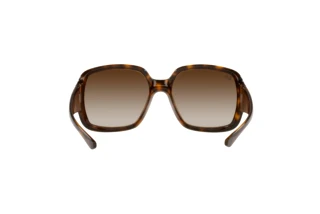 Rückansicht Ray-Ban POWDERHORN (RB4347 - 710/13)