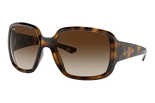 Vorderansicht Ray-Ban POWDERHORN (RB4347 - 710/13)