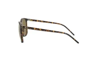 Seitenansicht Ray-Ban RB4387 (710/73)