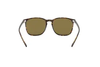 Rückansicht Ray-Ban RB4387 (710/73)