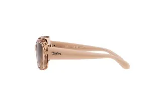 Seitenansicht Ray-Ban RB4389 (6644M2)
