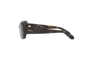 Seitenansicht Ray-Ban RB4389 (710/31)