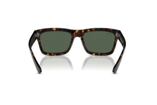 Rückansicht Ray-Ban WARREN (RB4396 - 135971)
