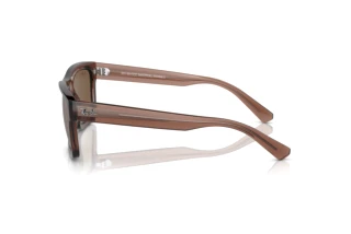 Seitenansicht Ray-Ban WARREN (RB4396 - 667873)
