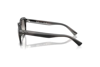 Seitenansicht Ray-Ban ERIK (RB4398 - 140432)