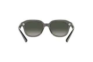 Rückansicht Ray-Ban ERIK (RB4398 - 667571)
