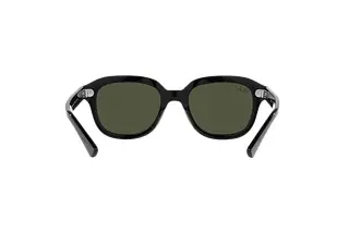 Rückansicht Ray-Ban ERIK (RB4398 - 901/31)