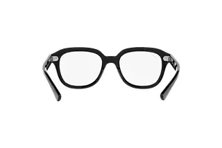 Rückansicht Ray-Ban ERIK (RB4398 - 901/GH)