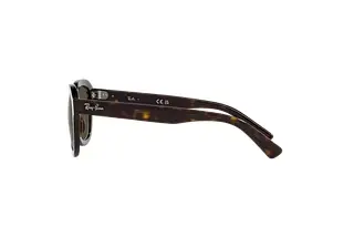 Seitenansicht Ray-Ban ERIK (RB4398 - 902/31)