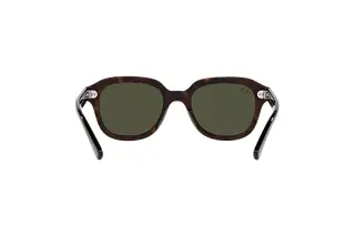 Rückansicht Ray-Ban ERIK (RB4398 - 902/31)