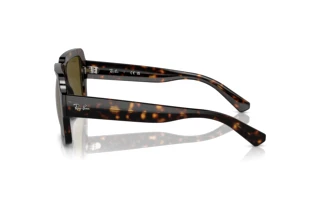 Seitenansicht Ray-Ban MAGELLAN (RB4408 - 135973)