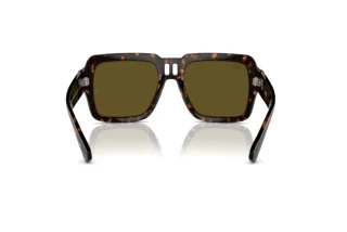 Rückansicht Ray-Ban MAGELLAN (RB4408 - 135973)