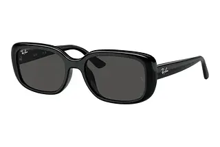 Ray-Ban RB4421D 667787