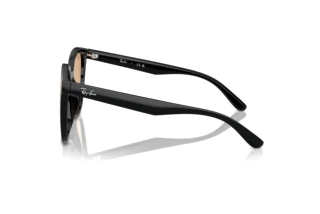 Seitenansicht Ray-Ban RB4423D (601/93)