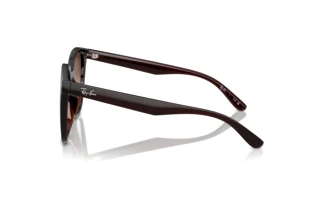 Seitenansicht Ray-Ban RB4423D (714/13)