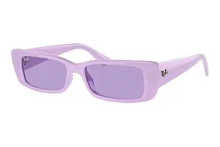 Ray-Ban TERU RB 4425 67581A