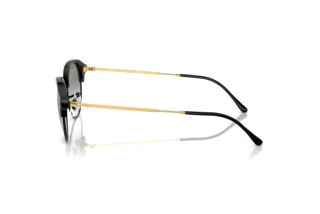 Seitenansicht Ray-Ban RB4429 (672332)