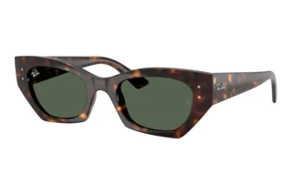 Vorderansicht Ray-Ban ZENA (RB4430 - 135971)