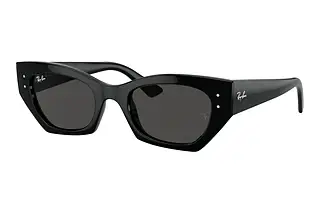Ray-Ban RB4430 667787 Dark GreyBlack