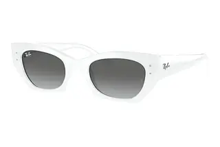 Ray-Ban RB4430 675911 GreyWhite Snow