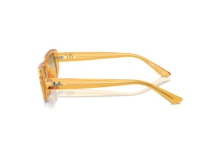 Seitenansicht Ray-Ban RB4436D (668213)