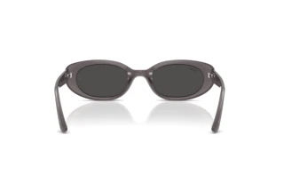 Rückansicht Ray-Ban RB4441D (677787)