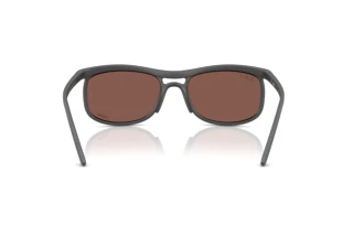 Rückansicht Ray-Ban RB4452CH (60171A)