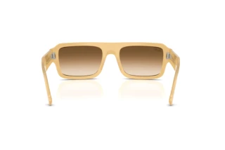 Rückansicht Ray-Ban FLACKO (RB4454 - 680651)