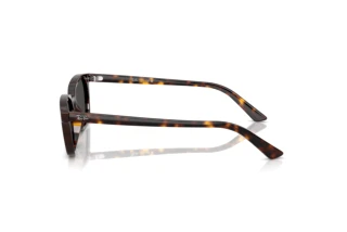 Seitenansicht Ray-Ban ZAYA (RB4456 - 135987)