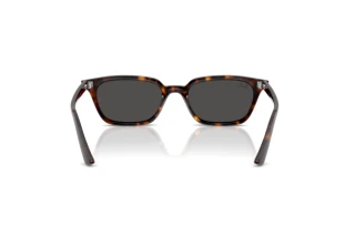 Rückansicht Ray-Ban ZAYA (RB4456 - 135987)