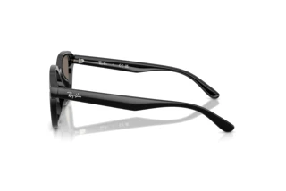 Seitenansicht Ray-Ban RB4458D (601/6V)