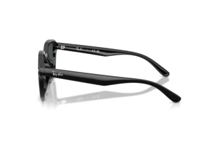 Seitenansicht Ray-Ban RB4458D (601/87)