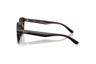 Seitenansicht Ray-Ban RB4458D (714/13)