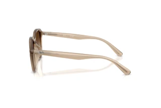 Seitenansicht Ray-Ban RB4459D (616613)