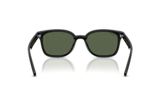 Rückansicht Ray-Ban RB4461D (601/71)