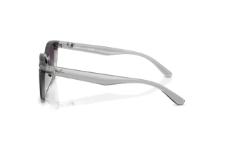 Seitenansicht Ray-Ban RB4461D (64508G)